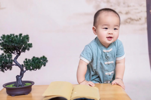 馆陶可爱的企鹅宝宝